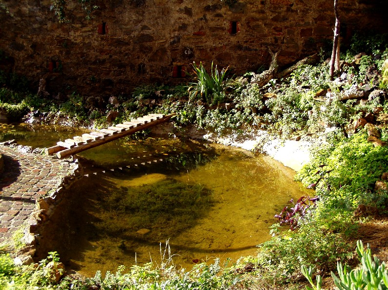 Il Laghetto del Centro di Entomologia - Piombino (LI)